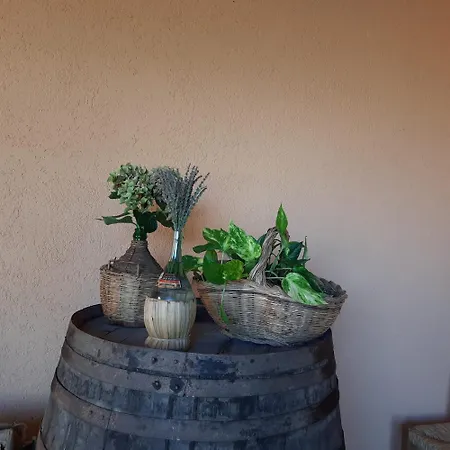 Апартаменты Campo Cantina Sulla