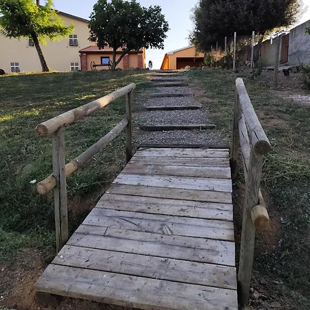 Campo Cantina Sulla Gavorrano