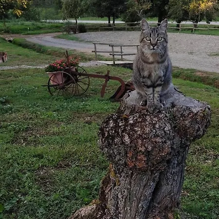 Апартаменты Campo Cantina Sulla