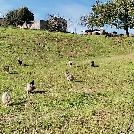 Апартаменты Campo Cantina Sulla *