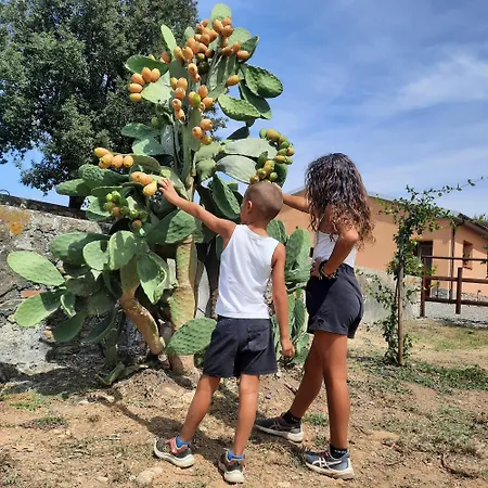 Campo Cantina Sulla Апартаменты