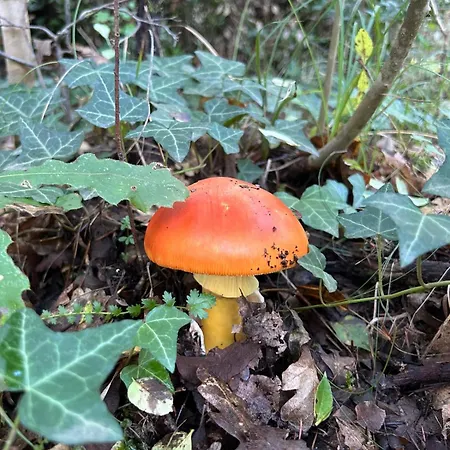 Campo Cantina Sulla Апартаменты *