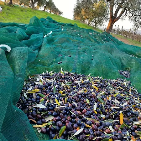 Campo Cantina Sulla Апартаменты *