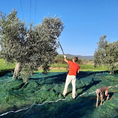 Апартаменты Campo Cantina Sulla Гаворрано