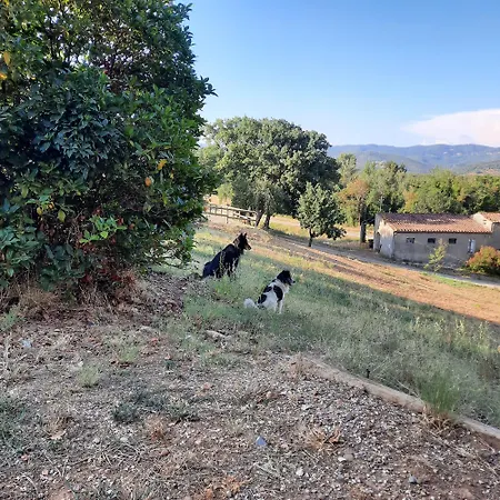 Campo Cantina Sulla Апартаменты Гаворрано