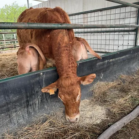 Campo Cantina Sulla * Гаворрано