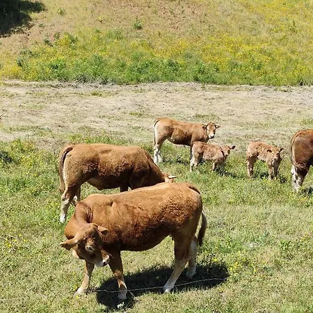 Campo Cantina Sulla Апартаменты *